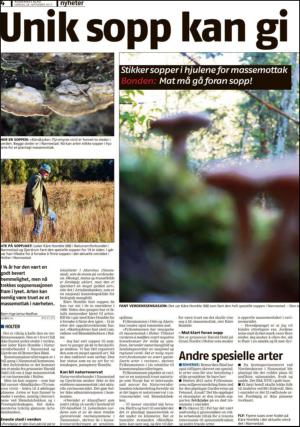 romerikesblad_nedre-20130928_000_00_00_004.pdf