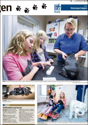 romerikesblad_nedre-20131004_000_00_00_013.pdf