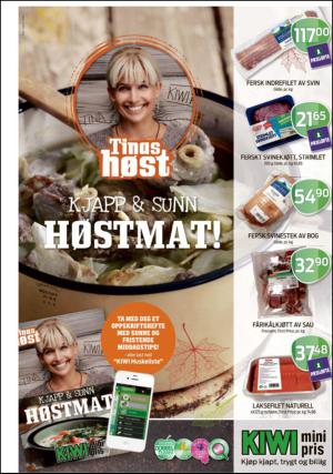 romerikesblad_nedre-20131010_000_00_00_021.pdf