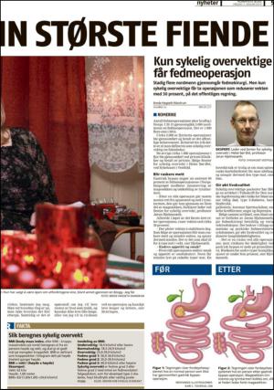 romerikesblad_nedre-20140103_000_00_00_005.pdf