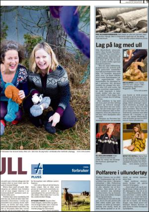 romerikesblad_nedre-20140129_000_00_00_013.pdf