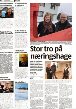 romerikesblad_nedre-20140210_000_00_00_014.pdf