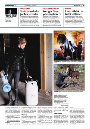 romerikesblad_nedre-20140512_000_00_00_015.pdf