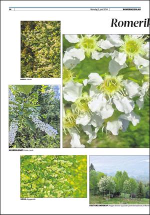 romerikesblad_nedre-20140602_000_00_00_014.pdf