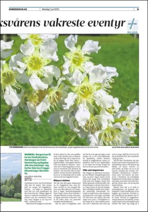 romerikesblad_nedre-20140602_000_00_00_015.pdf
