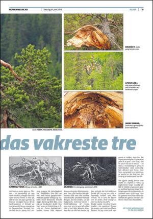 romerikesblad_nedre-20140619_000_00_00_015.pdf