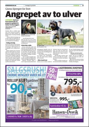 romerikesblad_nedre-20140723_000_00_00_013.pdf