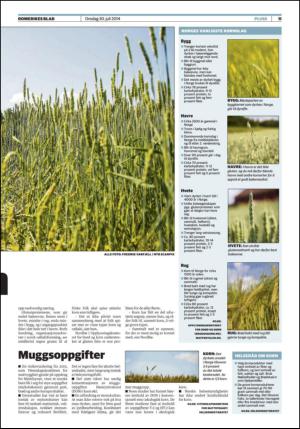 romerikesblad_nedre-20140730_000_00_00_011.pdf