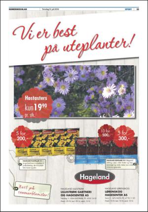 romerikesblad_nedre-20140731_000_00_00_023.pdf