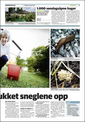 romerikesblad_nedre-20140808_000_00_00_011.pdf