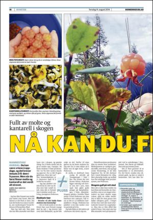 romerikesblad_nedre-20140814_000_00_00_018.pdf