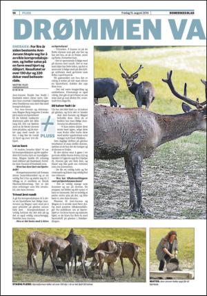 romerikesblad_nedre-20140815_000_00_00_014.pdf