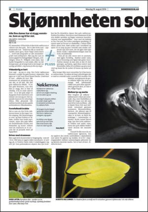 romerikesblad_nedre-20140818_000_00_00_012.pdf