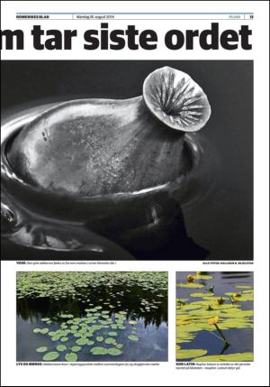 romerikesblad_nedre-20140818_000_00_00_013.pdf