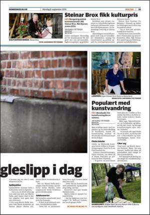 romerikesblad_nedre-20140908_000_00_00_033.pdf