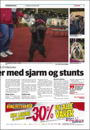 romerikesblad_nedre-20141115_000_00_00_003.pdf
