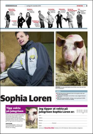 romerikesblad_nedre-20141129_000_00_00_015.pdf