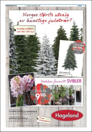 romerikesblad_nedre-20141211_000_00_00_033.pdf