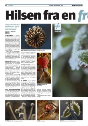 romerikesblad_nedre-20141224_000_00_00_014.pdf