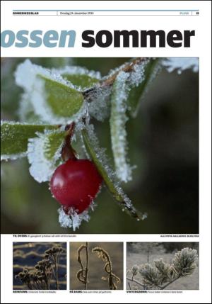 romerikesblad_nedre-20141224_000_00_00_015.pdf