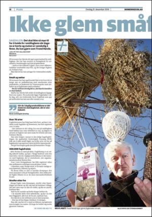romerikesblad_nedre-20141231_000_00_00_012.pdf