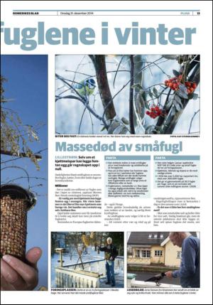 romerikesblad_nedre-20141231_000_00_00_013.pdf