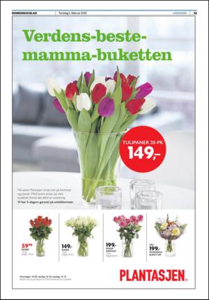 romerikesblad_nedre-20150205_000_00_00_033.pdf
