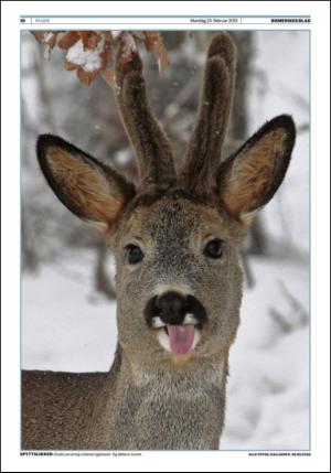 romerikesblad_nedre-20150223_000_00_00_010.pdf