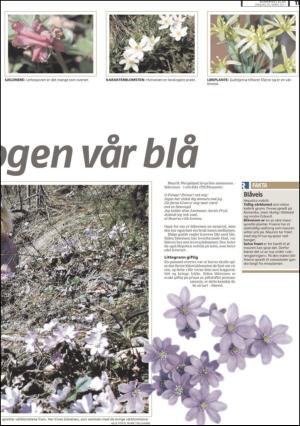 romerikesblad_nedre_seksjon-20110330_000_00_00_011.pdf