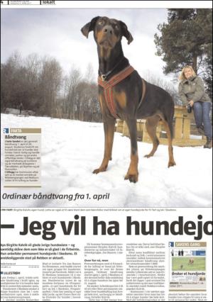 romerikesblad_nedre_seksjon-20110404_000_00_00_004.pdf