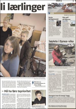 romerikesblad_nedre_seksjon-20110524_000_00_00_005.pdf