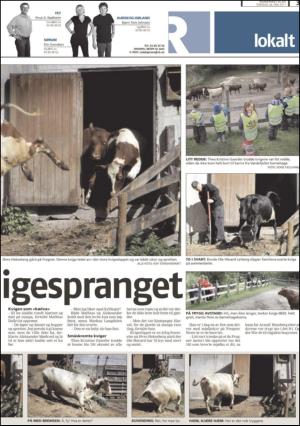 romerikesblad_nedre_seksjon-20110526_000_00_00_003.pdf