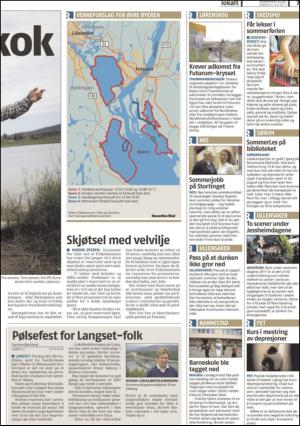 romerikesblad_nedre_seksjon-20110706_000_00_00_007.pdf