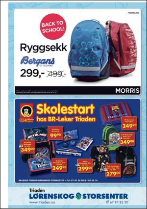 romerikesblad_nedre_seksjon-20110811_000_00_00_015.pdf
