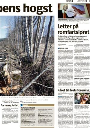romerikesblad_nedre_seksjon-20120404_000_00_00_005.pdf