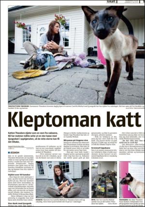 romerikesblad_nedre_seksjon-20120702_000_00_00_005.pdf
