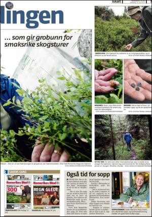 romerikesblad_nedre_seksjon-20120716_000_00_00_007.pdf