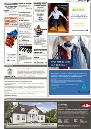 romerikesblad_nedre_seksjon-20120821_000_00_00_017.pdf