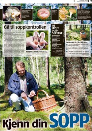 romerikesblad_nedre_seksjon-20120827_000_00_00_011.pdf
