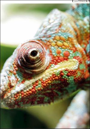 romerikesblad_nedre_seksjon-20120917_000_00_00_013.pdf