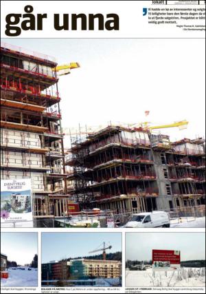 romerikesblad_nedre_seksjon-20130102_000_00_00_007.pdf