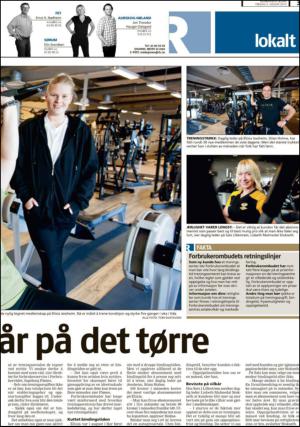 romerikesblad_nedre_seksjon-20130104_000_00_00_003.pdf