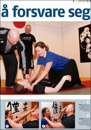 romerikesblad_nedre_seksjon-20130307_000_00_00_013.pdf