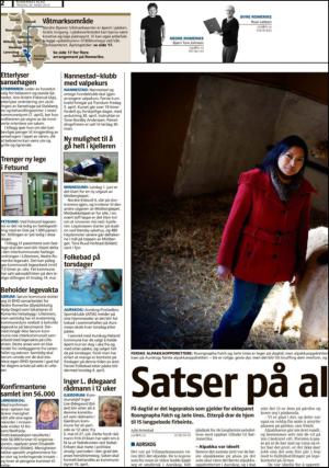 romerikesblad_nedre_seksjon-20130326_000_00_00_002.pdf