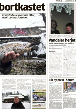 romerikesblad_nedre_seksjon-20130416_000_00_00_007.pdf