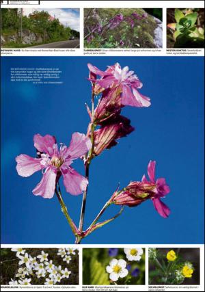 romerikesblad_nedre_seksjon-20130612_000_00_00_008.pdf