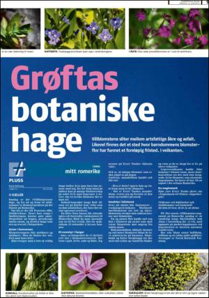 romerikesblad_nedre_seksjon-20130612_000_00_00_009.pdf
