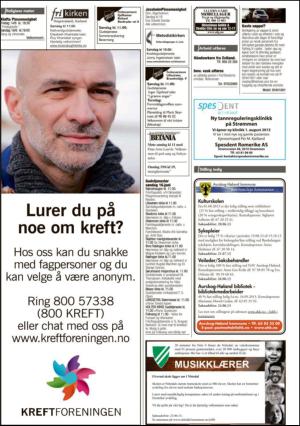 romerikesblad_nedre_seksjon-20130614_000_00_00_014.pdf