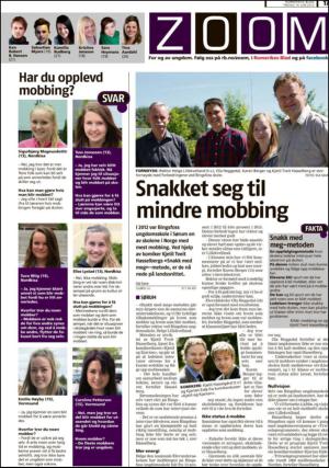 romerikesblad_nedre_seksjon-20130614_000_00_00_017.pdf