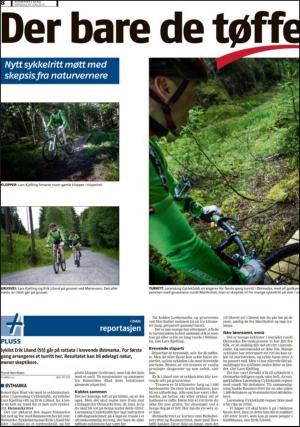 romerikesblad_nedre_seksjon-20130624_000_00_00_008.pdf